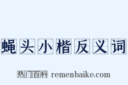蝇头小楷反义词是什么意思的图片